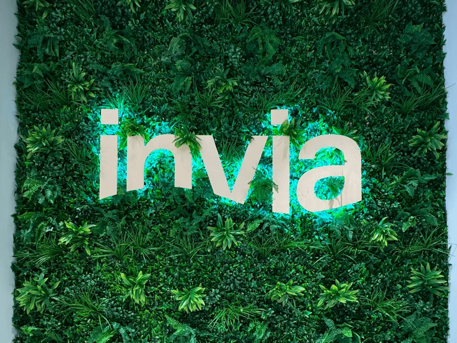 Podsvietenie (backlit)